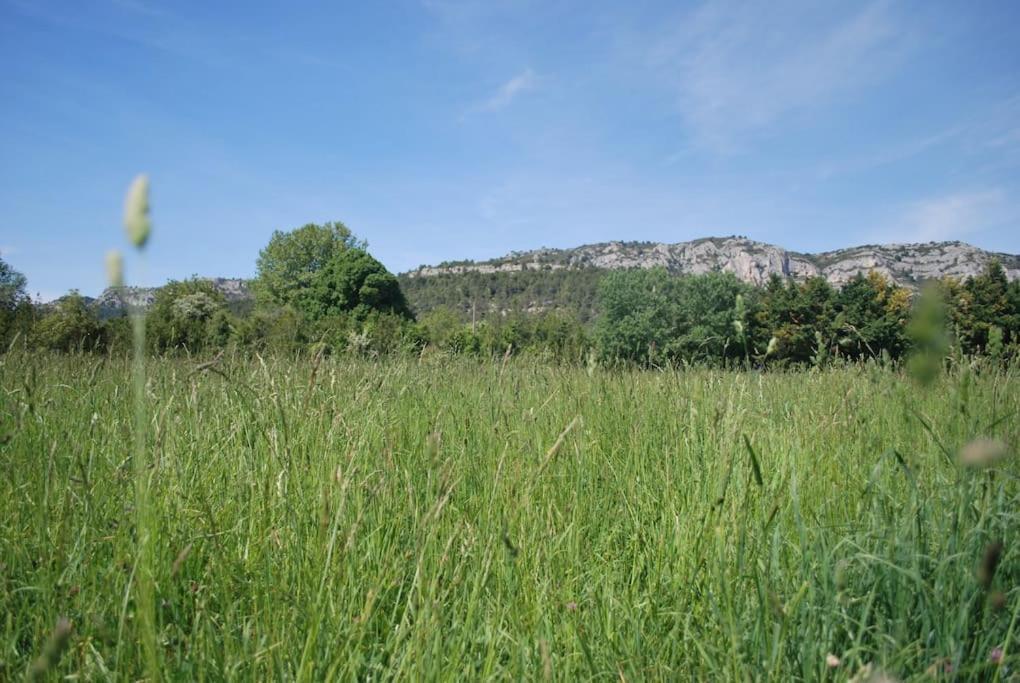 Le Cabanon Tendance Du Luberon Mérindol المظهر الخارجي الصورة